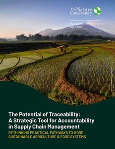 Cover image for English version of The Potential of Traceability: A Strategic Tool for Accountability in Supply Chain Management policy brief.