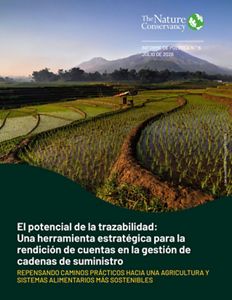 Cover image for El potencial de la trazabilidad: Una herramienta estratégica para la rendición de cuentas en la gestión de cadenas de suministro.
