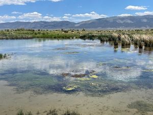 Ralphs Warm Springs, Nevada