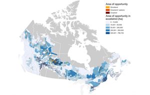 Map of forest restoration opportunities in Canada. 