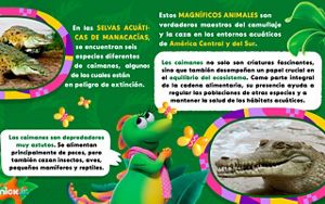 Dora la Exploradora recorre Latinoamérica: Colombia.