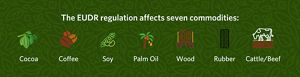 Illustration of the seven commodities affected by EU deforestation law: cocoa, coffee, soy, palm oil, wood, rubber, and cattle/beef.