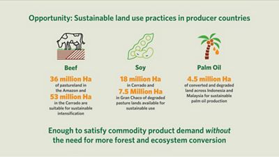 Infographic describing Earth-friendly practices for beef, soil and palm oil farming