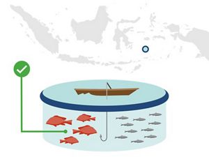 Zero Overfishing