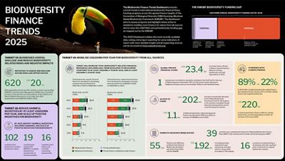 Infographic dashboard showing the latest figures for biodiversity finance globally.