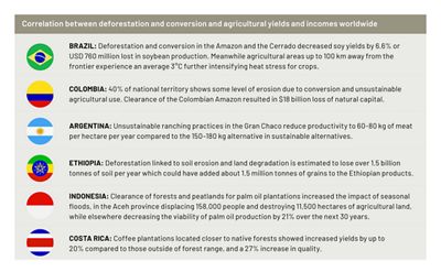 Table of case studies from different countries around the world.