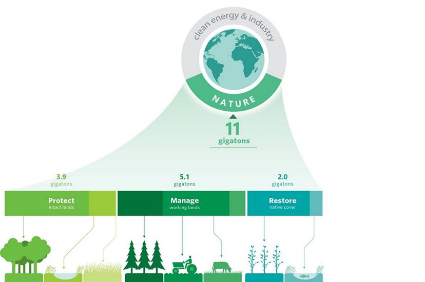 Graphic showing the different pathways to protect, manage and restore lands that add up to 11 gigatons of reduced  emissions.