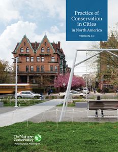 Several people enjoy the swings in a city park. Traffic drives by and rowhouses face the park across the street.