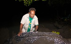 Benson Clifford has worked as a conservation ranger for 8 years.