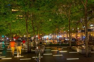 Vista nocturna de un parque urbano arbolado.