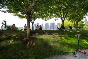 People sit in the shade of trees in a park facing the New York City skyline.
