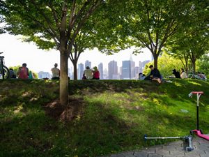 People sit in the shade of trees in a park facing the New York City skyline.