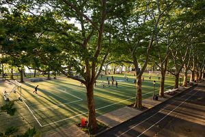 Vista de un campo de fútbol arbolado en un parque.