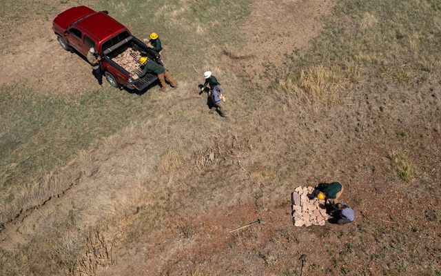 Aerial view of four restoration practitioners transporting rock from the back of a pickup truck to install a rock dam.