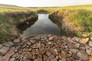 A rock structure installed to prevent erosion.
