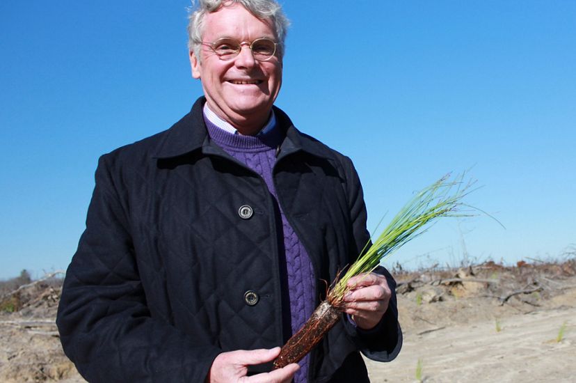 A smiling man, landowner and TNC donor Bill Owen, holds a longleaf pine seedling during a planting day on his property.