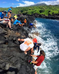 A group of people are gathered on a low rock ledge above a blue ocean. Waves crash on the rocks. Green mountains rise from the water in the background.