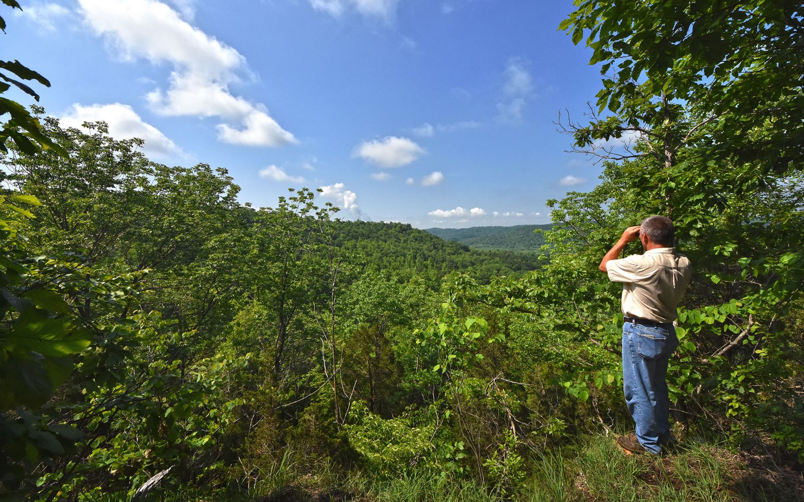 A hiker looks out through binoculars over green hills.