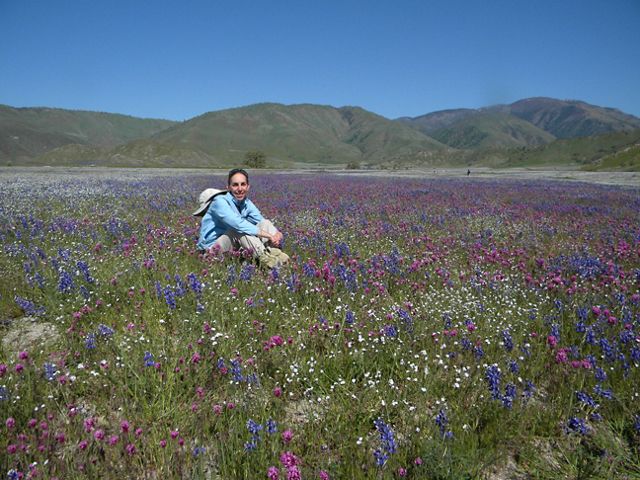 Rebecca Wenk in a field of flowers in 2009.