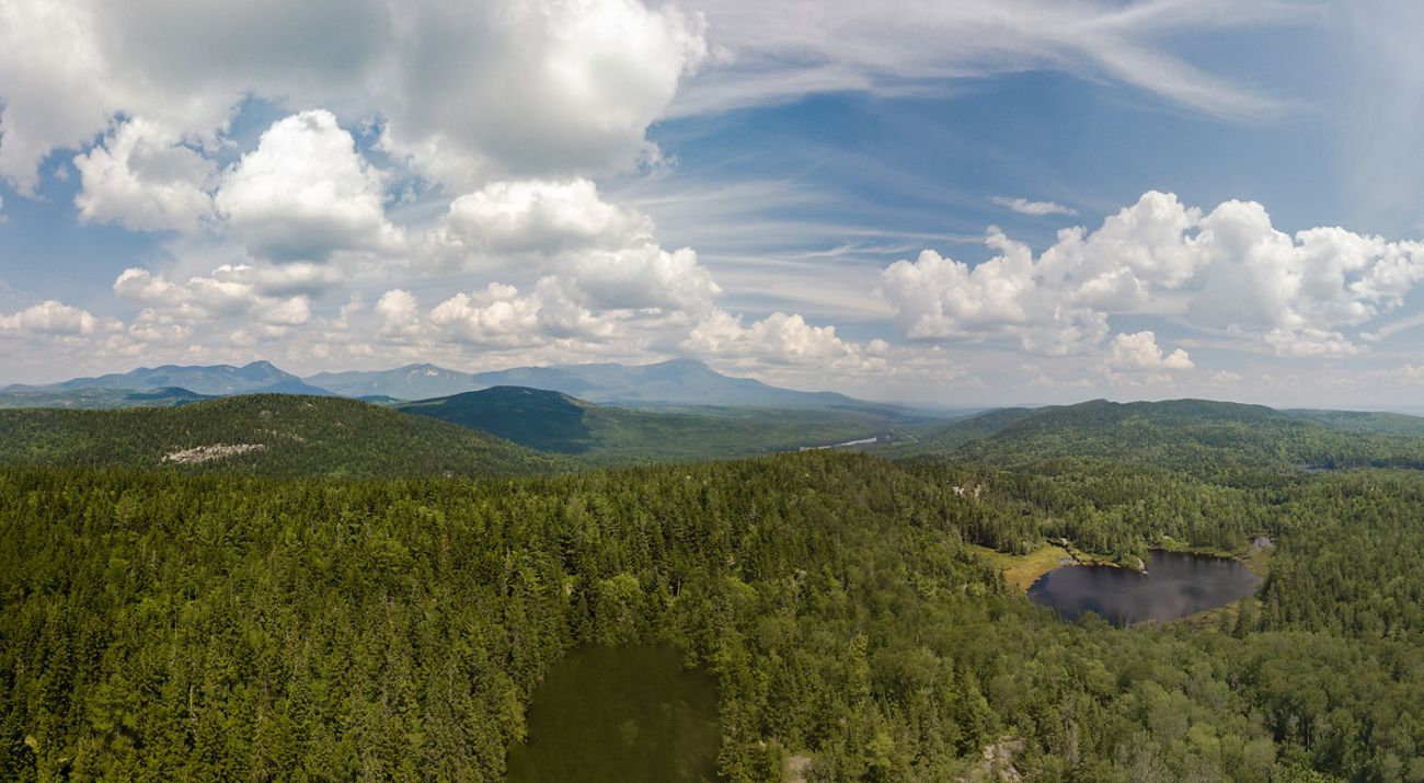 Sweeping landscape of fir trees and hills in Maine.