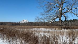 A distant mountain covered in snow.