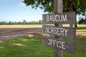 A wooden sign with the words Baucum Nursery Office stands at the edge of a field.