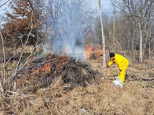 A land manager in protective gear lights a pile burn in the foreground. In the background, other piles of debris are lit by additional managers. 