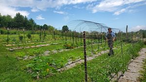 A man in overalls walks through a community garden.