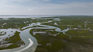 Aerial drone view looking down on a small boat navigating through the main branch of a coastal channel. Smaller channels bend and curve through the wetlands.