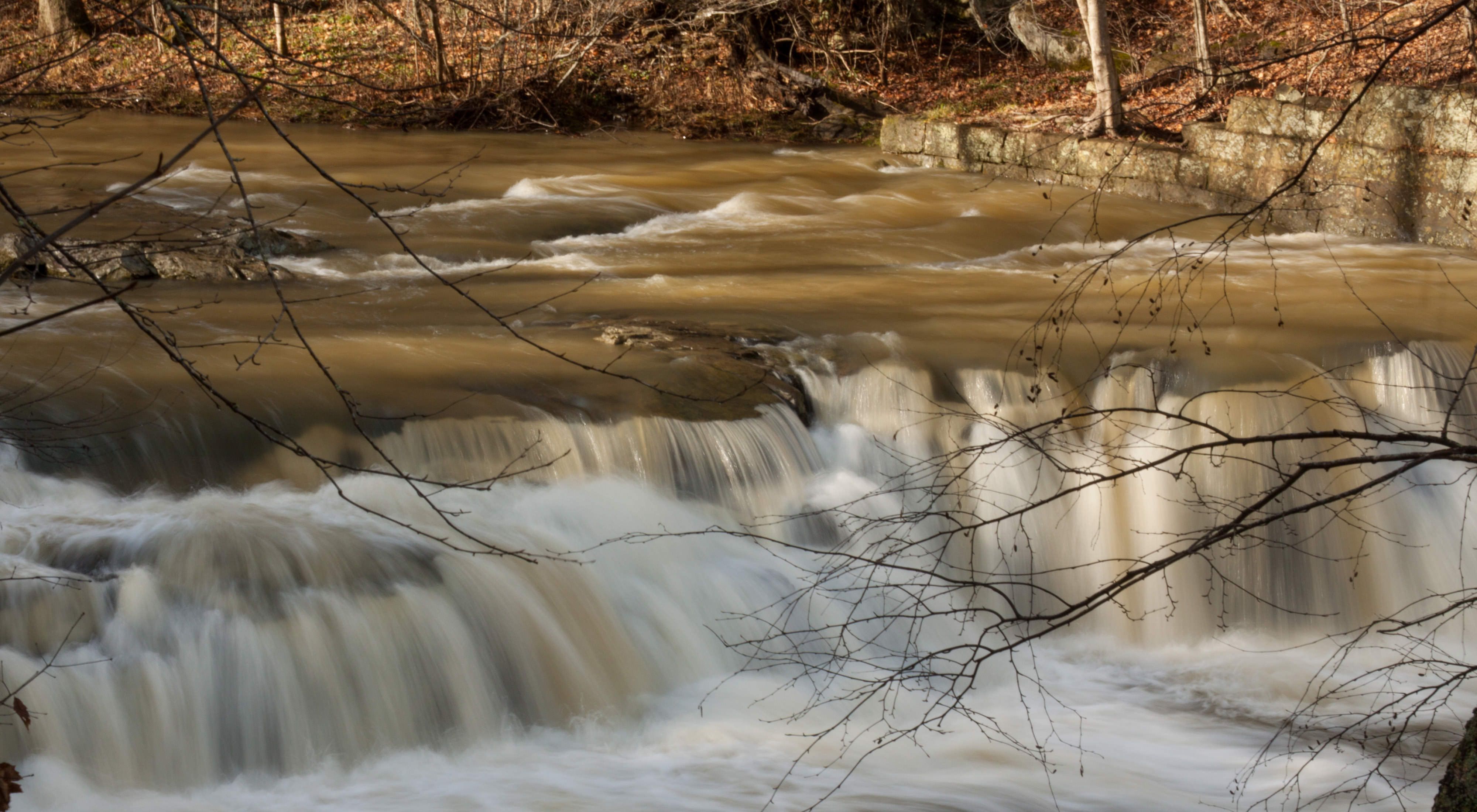 View of water rushing in a creek and over short falls in a forest.