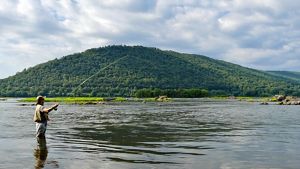A man wearing waders stands hip deep in the Susquehanna River casting a fishing rod. The green forested Hamer Woodlands at Cove Mountain rises behind him under low white clouds.