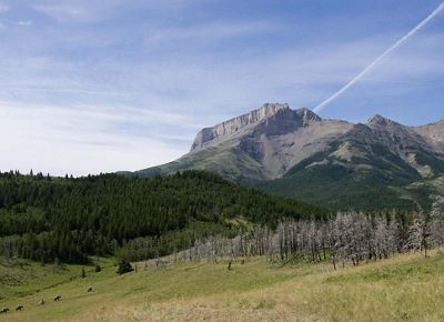 Guests from the Nature Conservancy’s Pine Butte Guest Ranch ride horseback through Yeager Flats below Ear Mountain on the Rocky Mountain Front in Montana, United States.