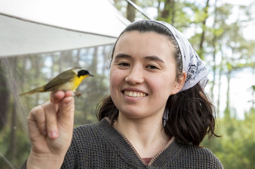 A smiling woman holds a small bird by its feet. The bird has greenish black wings, black face, gray cap and yellow breast.