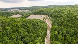 Green trees line a valley with white rock exposed on the right side of the frame.