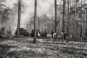 A group of men stand by a line of rails and wooden ties as they build a railroad through a longleaf pine forest. The area in the foreground has been cleared to bare earth.