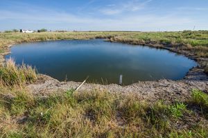 A round blue pond surrounded by tall grass.