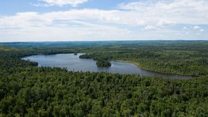 A wide aerial view of a large, calm lake surrounded by an expansive forest stretching to the horizon. Dense green woodland fills the foreground and extends across rolling terrain in every direction, creating an almost unbroken canopy of mixed trees. The lake curves gently through the landscape, with several small, tree-covered islands scattered across its dark blue surface. The shoreline is irregular and heavily forested, with no visible buildings, roads, or signs of human development. Above, a bright blue sky is filled with broad, wispy white clouds and scattered puffy cloud formations. Sunlight illuminates the landscape, highlighting varying shades of green throughout the forest and reflecting softly on the water. The scene conveys the vast scale and remoteness of a largely untouched wilderness.