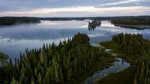 Birds-eye view of the towering trees and meandering waterways of the Superior National Forest in Minnesota providing climate resiliency and protections for people and nature.