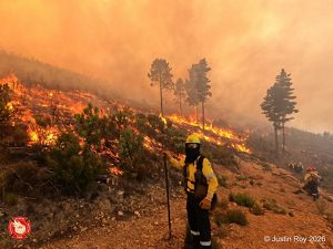 A person wearing a yellow helmet and jacket with a black face covering stands on a hillside on which a large fire burns.