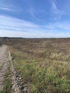 A brown field with a dirt road.