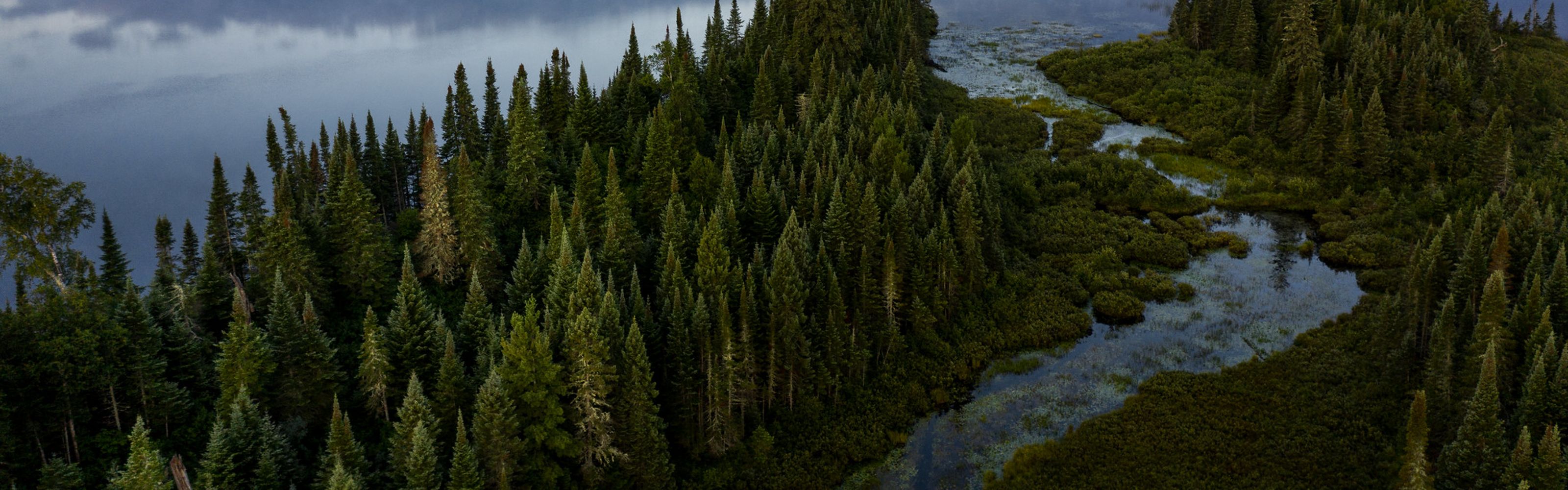 Aerial view of undeveloped woods and waters in northern Minnesota.