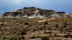 Clusters of white flowers dot the red, rugged landscape of White Dome Nature Preserve. 