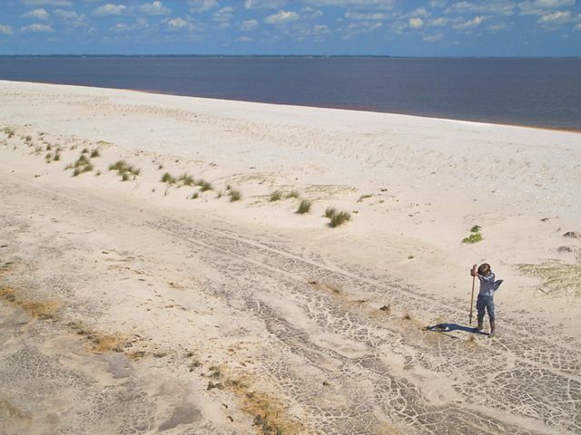 Members of The Nature Conservancy plant sea oats along the shore of Round Island, a few miles offshore of Pascagoula, Mississippi.