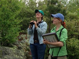 Two women in a forest clearing counting birds as part of a monitoring study. One holds a pair of binoculars in her hands while looking up into the trees. The second woman holds a large clipboard.