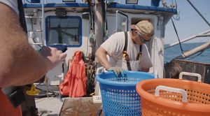 Maine fisherman working at sea.