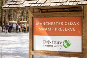 A preserve sign that reads Manchester Cedar Swamp Preserve and displays The Nature Conservancy logo.
