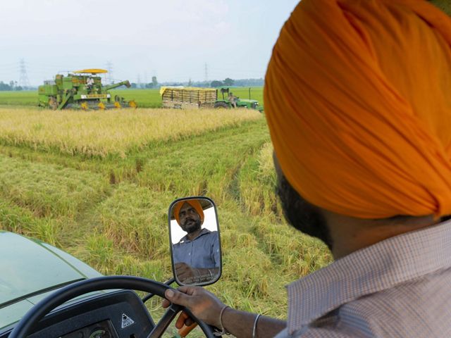 View from behind a farmer as he drives a tractor through a field. His full face can be seen in a small rear view mirror in front of him.