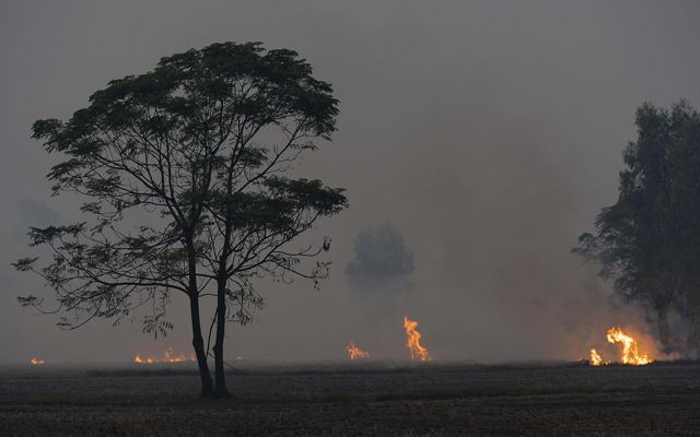 Large orange flames rise from burning rice fields as a dark dense smog blocks out visibility and light.