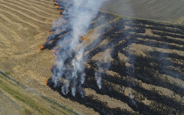 Aerial of a rice paddy field on fire. The orange flames are making their way to tan rice stubble while leaving a path of smoldering lines of stubble