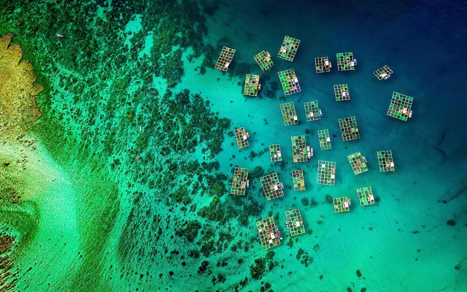 Quảng Ngãi Province, Vietnam Aquaculture from above in Ly Son Island. © Alex Cao/TNC Photo Contest